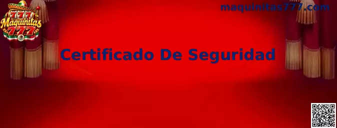 Certificado De Seguridad digital