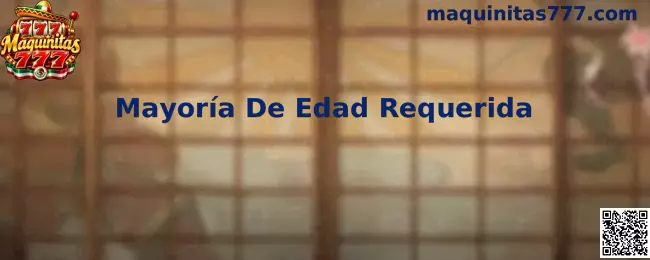 Información sobre Mayoría De Edad Requerida en Maquinitas 777